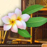 Aulani Mobile Engagement