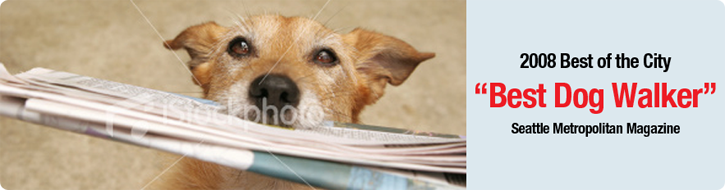 Press page spotlight photo
